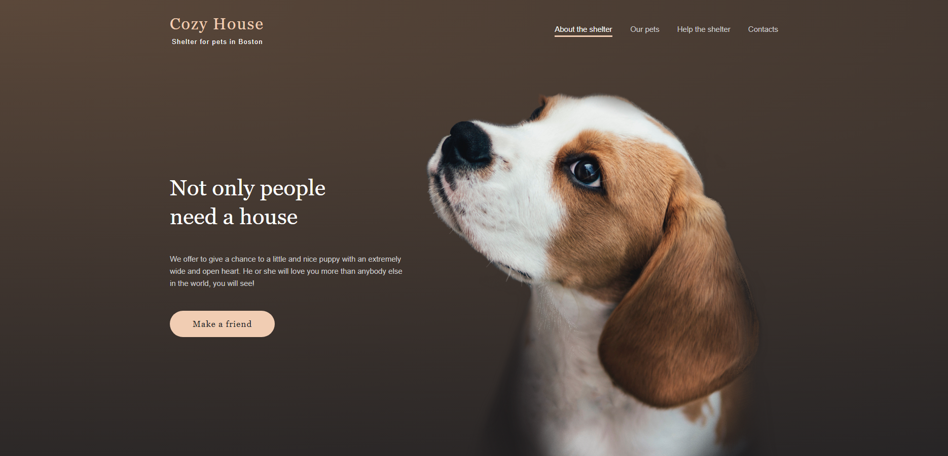 shelter project